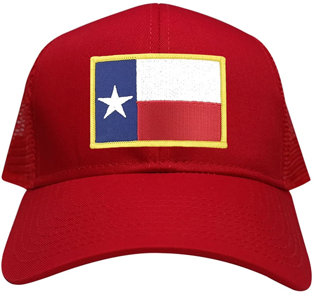 Texas State Flag Embroidered Iron on Patch Snapback Adjustable Mesh Cap