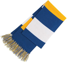 Multi Color Winter Fringed Long Scarf
