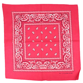 Armycrew 12pc Paisley Printed 100% Cotton Bandanas Headwrap Face Protection